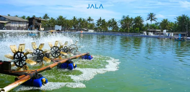 Optimizing Cultivation Performance with the Right Potassium Chloride Dosage