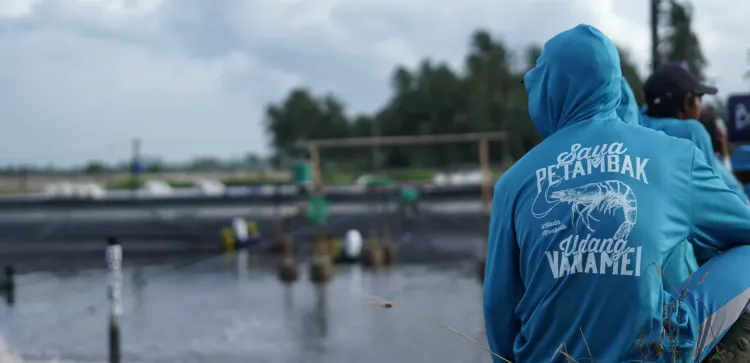 7 Water Parameters That Affect Shrimp Performance
